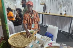 Pemprov Papua minta pelaku usaha ekspor aktif koordinasi