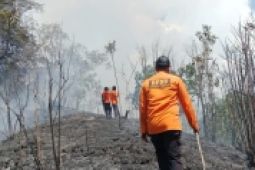 Pusdalops: Lima hektare terdampak  karhutla di Tapanuli Tengah