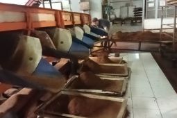 Genap satu abad, teh Kayu Aro masih jadi "magnet" ekonomi dan pariwisata