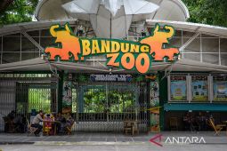 Kejati Jabar kecewa, koruptor Bandung Zoo hanya divonis 7 tahun