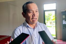 Kementan targetkan bongkar ratoon di Situbondo seluas 2.800 hektare