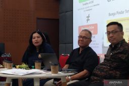 OJK catat LDR perbankan di Bali Nusra pada rentang ideal