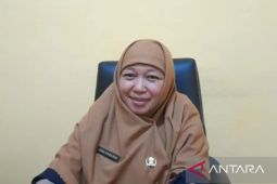 Bangka Tengah targetkan tanam padi gogo seluas 118 hektare