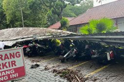 Sejumlah pohon tumbang menimpa kendaraan di kampus Unej