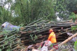 BPBD: Dua korban meninggal akibat bencana angin kencang di Jember