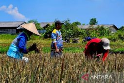Pemkab Natuna dan BPJS Ketenagakerjaan sinergi lindungi para pekerja rentan