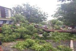 Cuaca ekstrem terjang Dompu, Belasan rumah warga di empat desa rusak