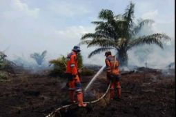 BPBD Sumsel kerahkan personel dan helikopter water bombing padamkan karhutla di OKI