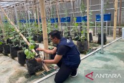 Umah Tani Kota Serang sukses terapkan pertanian zero waste di lahan sempit