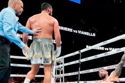 Petinju Vianello incar Joshua sesuai juara kelas berat WBC