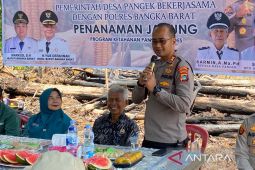 Polres Bangka Barat-Pemdes Pangek garap lahan ketahanan pangan 1,5 ha