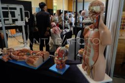 Tubuh beri sejumlah sinyal ketika kekurangan zat besi