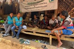 PLN NTT sosialisasikan pembangunan jaringan listrik di pedalaman Sumba