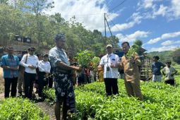 Program Electrifying Agriculture tumbuh 2,6 persen di Sumba