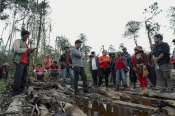 Anggota DPR RI desak perambahan hutan  di Sumut harus dihentikan