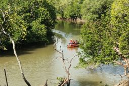SAR masih cari pemancing  diterkam buaya di Balikpapan