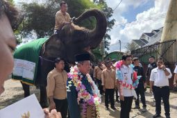 Gajah Taman Rimbo Zoo Jambi bisa kalungkan bunga ke pejabat