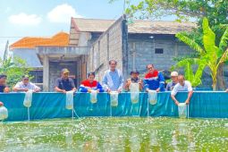 Patra Niaga berdayakan masyarakat lewat kolam budidaya ikan bioflok