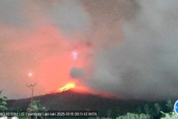 Gunung Lewotobi Laki-laki status Awas