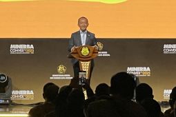 PT Freeport belum ajukan revisi RKAB