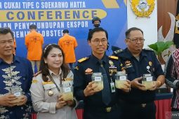Bea Cukai gagalkan penyelundupan benih lobster ilegal senilai Rp5,17 miliar