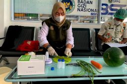 BGN bersama Pemkab Karimun pastikan bahan pangan SPPG aman dari pestisida