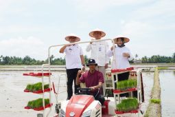 Langkat klaster padi binaan Bank Indonesia