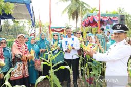 Desa Adianjior masuk nominasi evaluasi PKK Sumut 2025