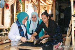 PLN dan TP PKK Banten bersinergi di Desa Wisata Badui