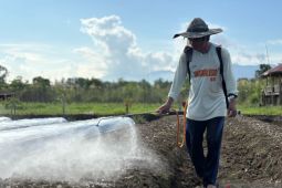 IMIP kembangkan program Hortikultura di lingkar Industri
