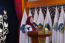 Dekranasda Jambi dorong perajin pemanfaatan teknologi perluas pasar