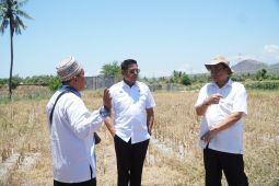 Lombok Timur siapkan 42 hektare untuk Sekolah Garuda