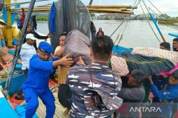 Nelayan Aceh Timur meninggal dunia usai jatuh ke laut