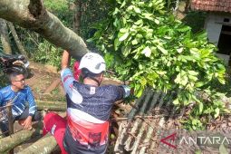 Cuaca ekstrem ancam Cianjur! Pemkab tetapkan Status Siaga bencana Hidrometeorologi