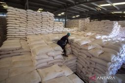 Mulai hari ini, pemerintah resmi turunkan harga pupuk bersubsidi 20 persen