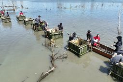 PLN Indonesia Power kuatkan ketahanan ekologis lewat Green Action 2025