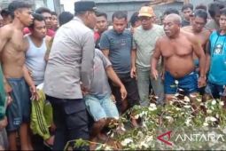 Seorang warga Dompu tewas disambar petir saat hujan deras