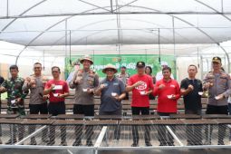 Pemkab dan Polres Tabanan komitmen jaga ketahanan pangan