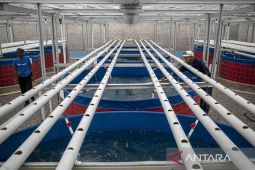 Pembangunan fisik Kopdes Merah Putih di Bandung Barat