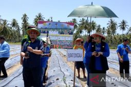 Pemkab-Donggala dorong petani manfaatkan KUR dukung ketahanan pangan