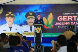 Donggala rampungkan pemasangan penerangan jalan umum