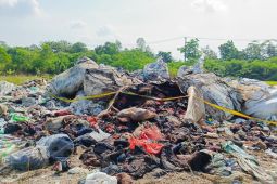 Pemkot Serang gerak cepat tangani penemuan limbah medis