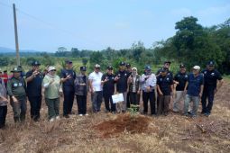 Pemerintah ajak masyarakat menanam tanaman produktif dukung ketahanan pangan