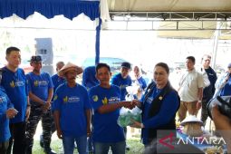 Bupati Donggala: 5 juta bibit kakao untuk tingkatkan hasil perkebunan