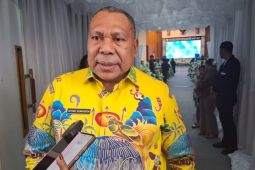 Pemprov Papua minta pemkab-pemkot memperkuat edukasi bahaya kebakaran