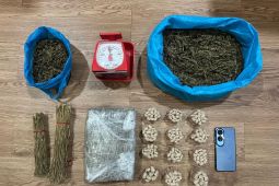 Polda Kepri gagalkan peredaran 2,6 kg ganja kering