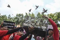 Sentra Fauna dan Kuliner Lenteng Agung siap ditempati eks pedagang Pasar Barito