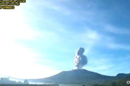 Gunung Ibu semburkan abu hingga 1,2 kilometer