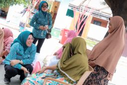 TP PKK Banten dorong pemerataan pembangunan di Pulau Tunda Serang