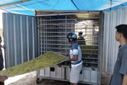 Inovasi mahasiswa Unej "DryToba" percepat pengeringan tembakau